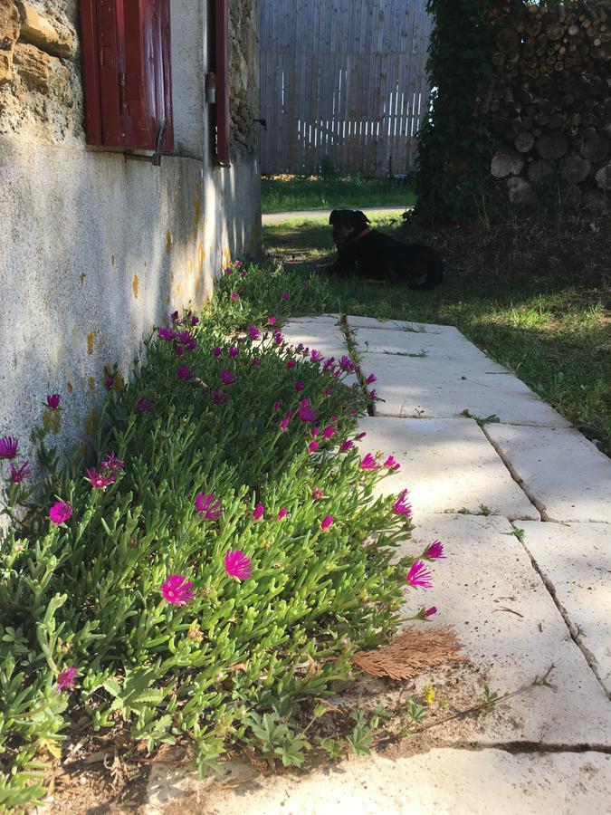 Gite Le Puy Rabasteau Chantonnay Exterior foto